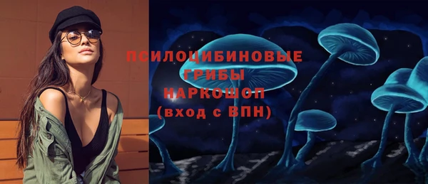 винт Новокубанск