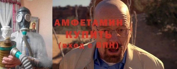 шишки Новозыбков
