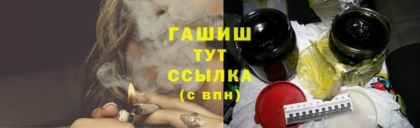 шишки Новозыбков