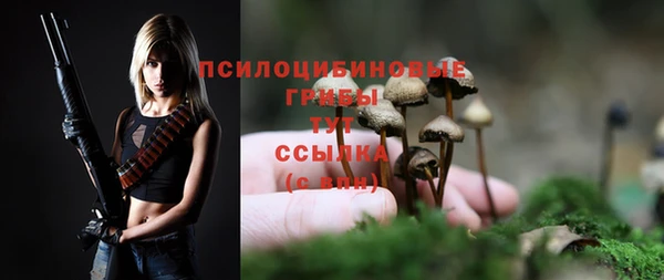 шишки Новозыбков