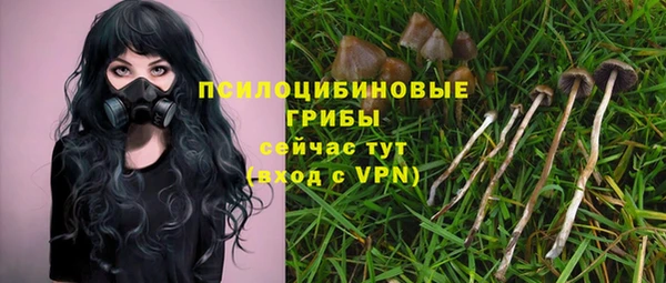 каннабис Новодвинск