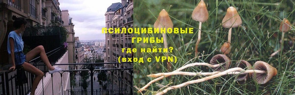 винт Новокубанск