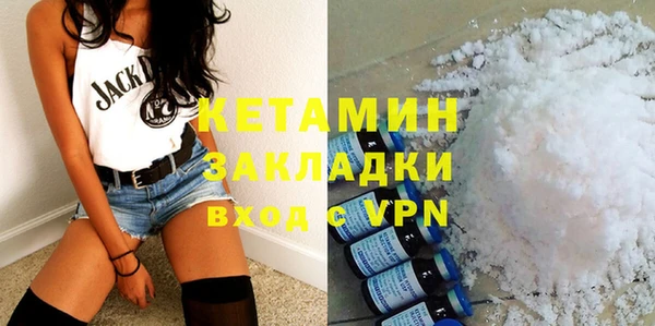 шишки Новозыбков