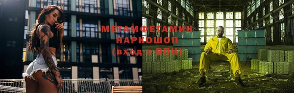 шишки Новозыбков
